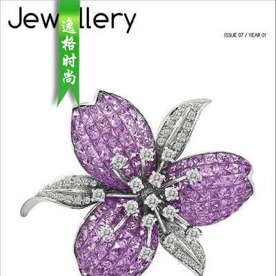 JH 美国专业珠宝设计杂志 1月号N7